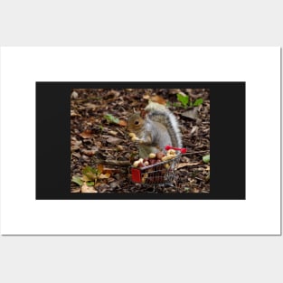 squirrel with shopping cart Posters and Art